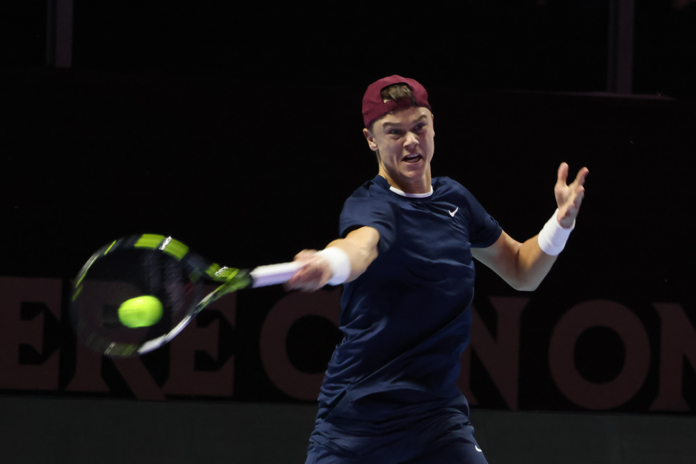 本赛季博洛 本赛季博洛